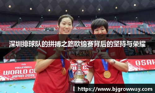 深圳排球队的拼搏之路欧锦赛背后的坚持与荣耀